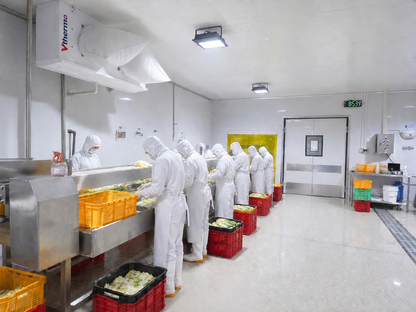 Kimchi Sorting